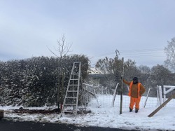Semaine de l'arbre 2024 rétrospective Actu (6)