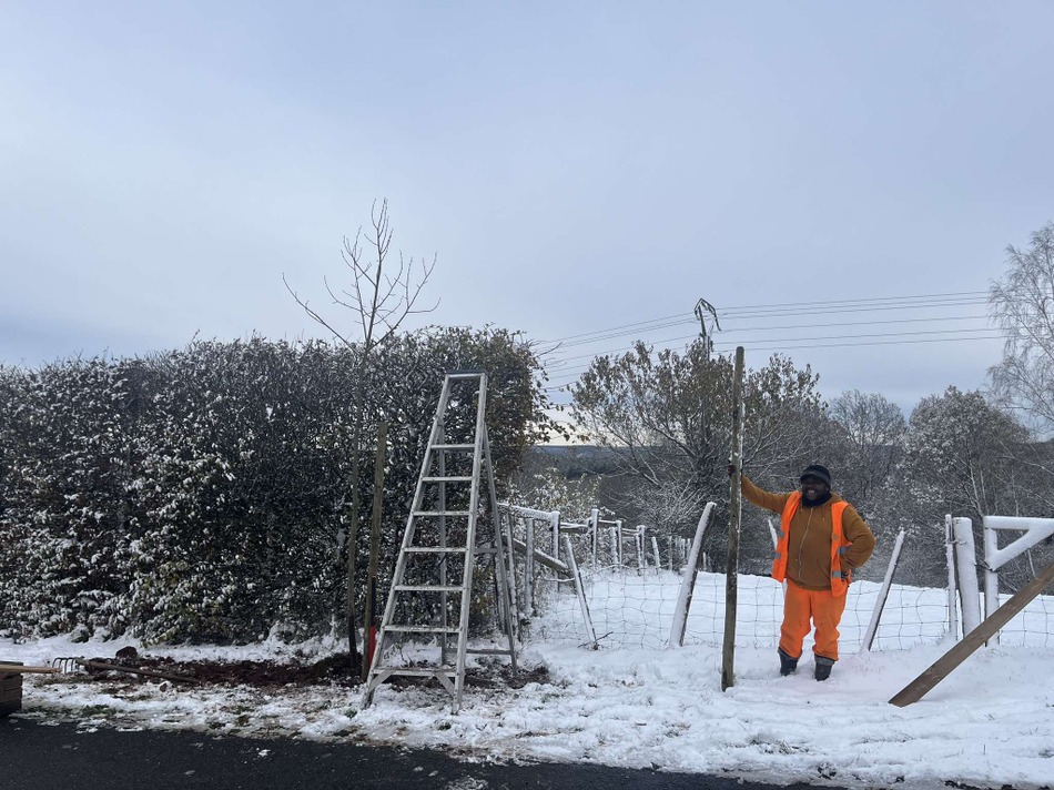 Semaine de l'arbre 2024 rétrospective Actu (6)