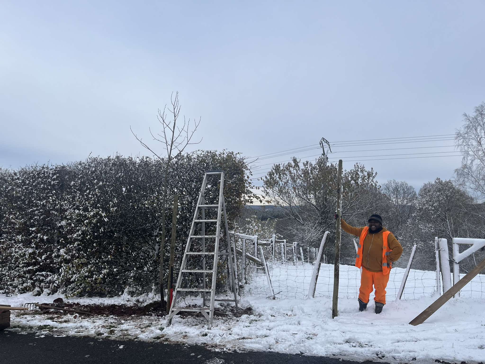 Semaine de l'arbre 2024 rétrospective Actu (6)