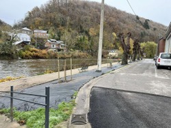 Semaine de l'arbre 2024 rétrospective Actu (8)