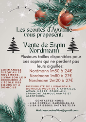 vente sapins scoutes Aywaille 2023