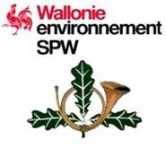wallonie environnement spw