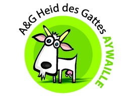Ardenne et Gaume - Réserve naturelle de la Heid des Gattes