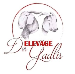 Elevage des Gadlis