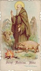 Saint antoine