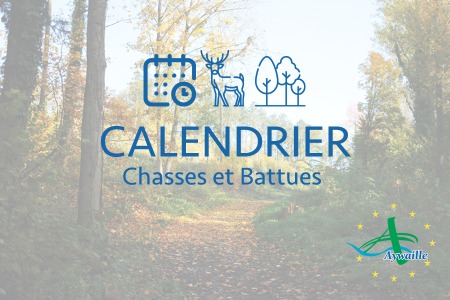 Illustration de l'actualité - cliquer pour agrandir
