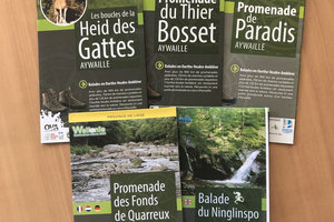 Illustration de l'actualité - cliquer pour agrandir