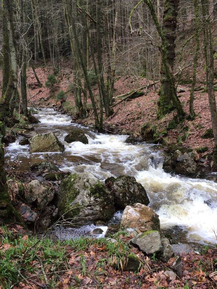 Vallon de la Chefna
