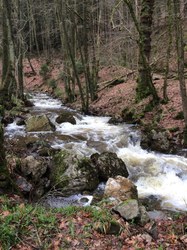  Vallon de la Chefna 