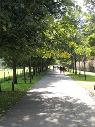 Voie des Aulnes allée de la paix