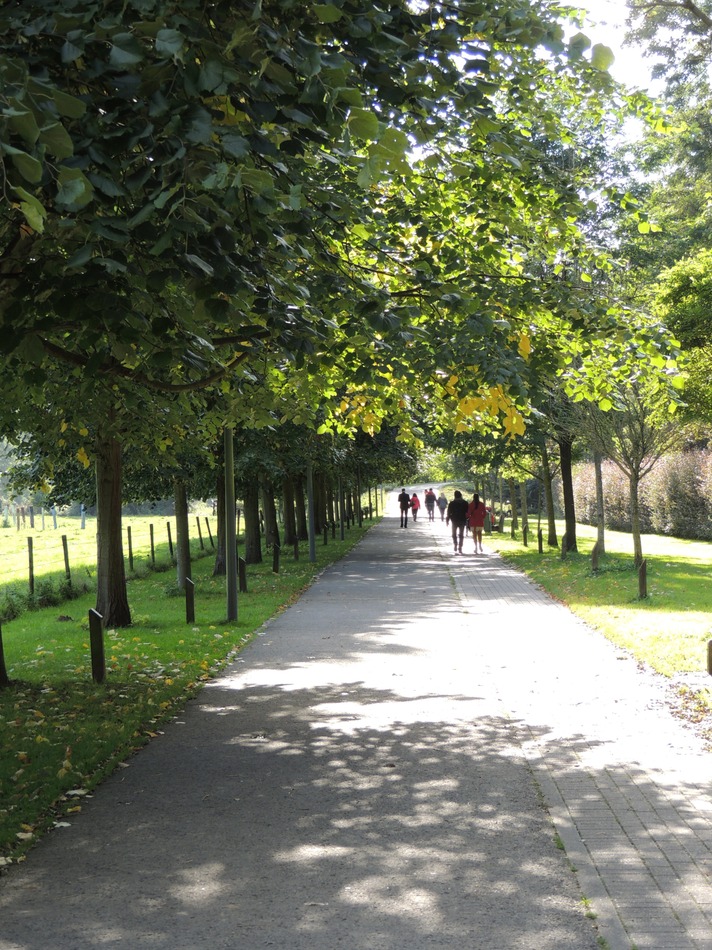 Voie des Aulnes allée de la paix