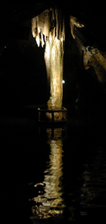 Grottes palmier