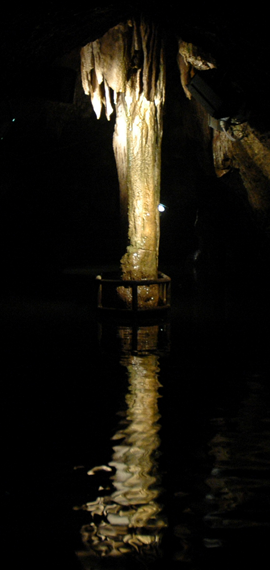 Grottes palmier