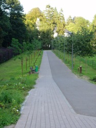 Voie des Aulnes