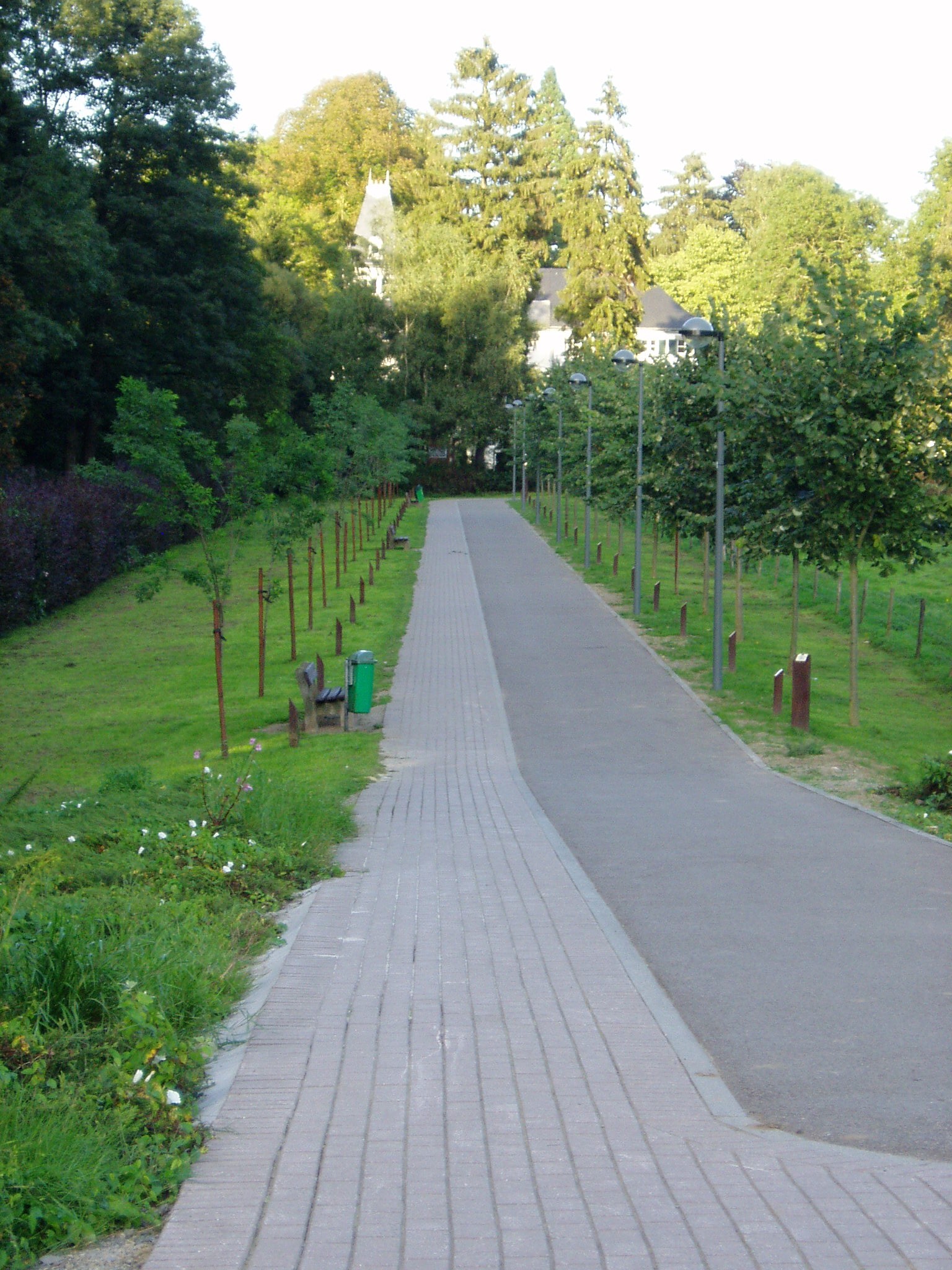 Voie des Aulnes