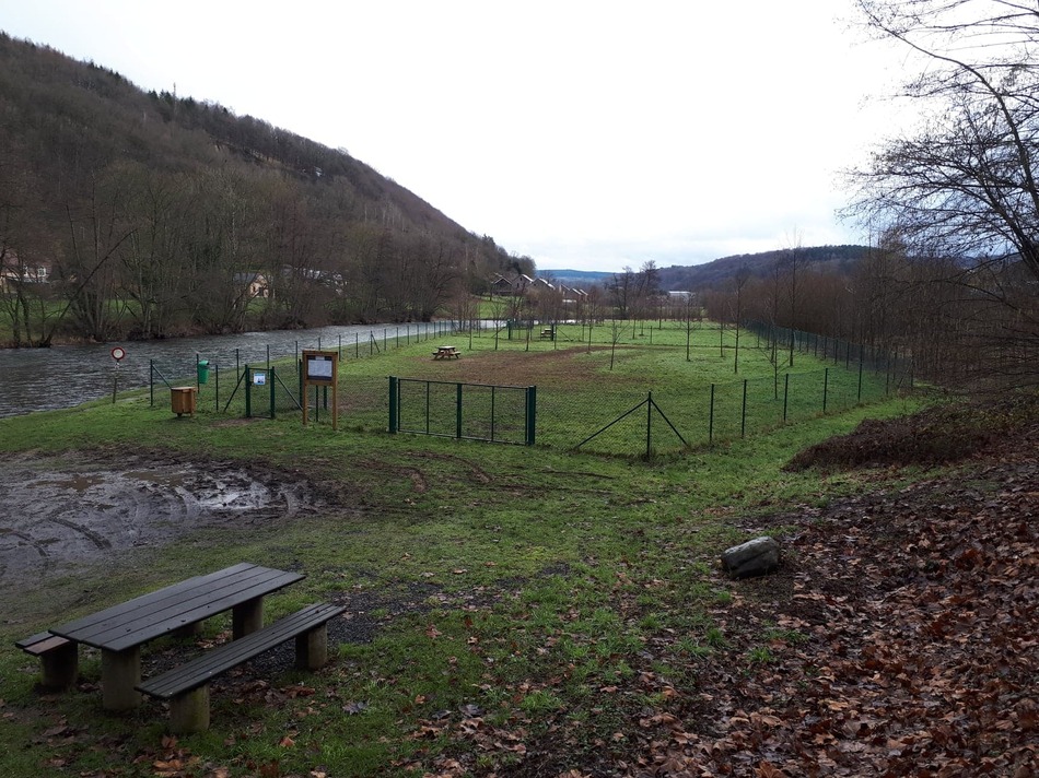 Parc à chiens