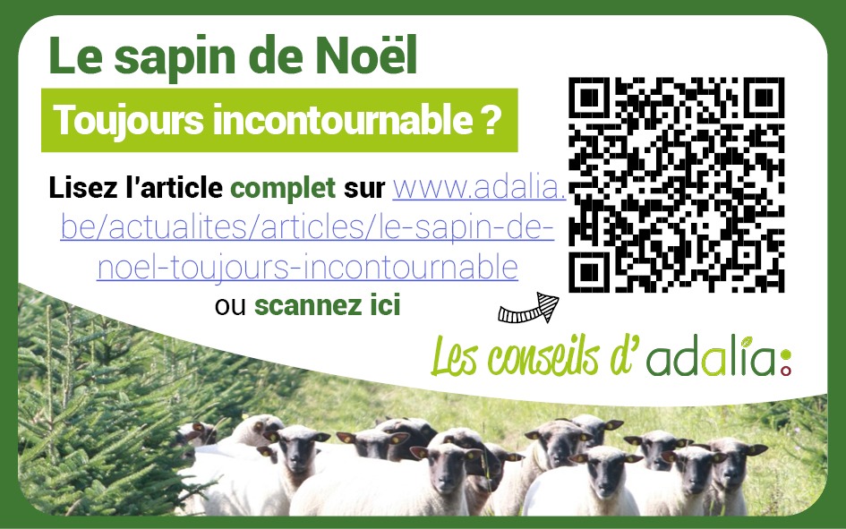 Adalia   Petit sapin de noel