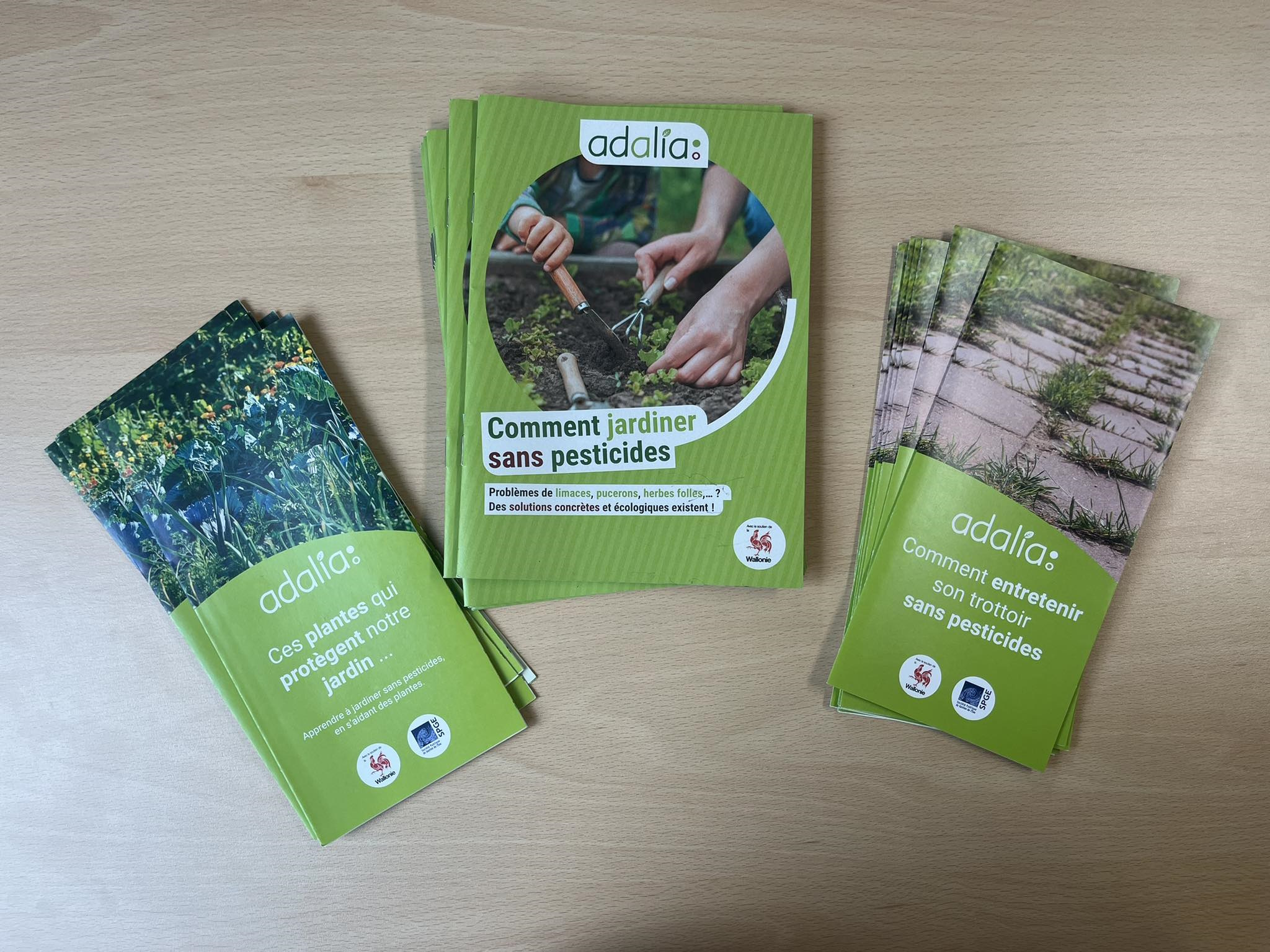 brochures Adalia 2.0 bis
