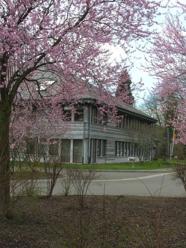 Administration communale printemps