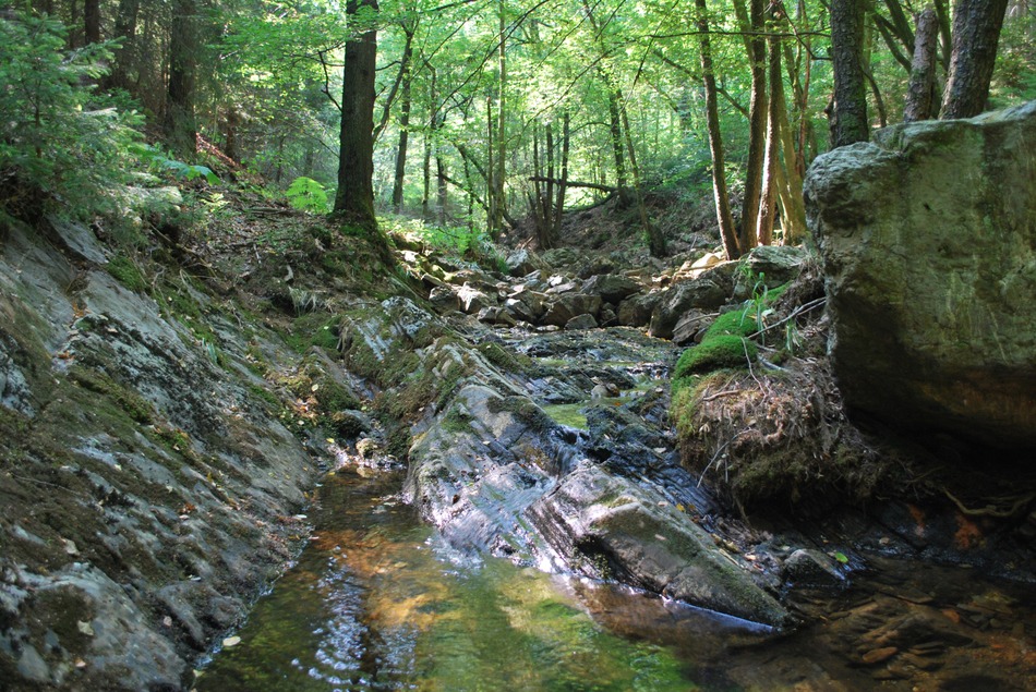 Vallon de la Chefna